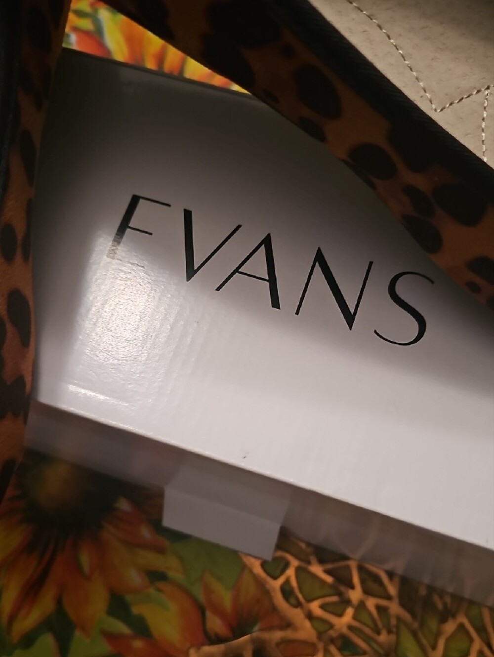 EVAN Rachel Leopard-Print Ballet Flats in Brown and Black - Picture 2 of 7